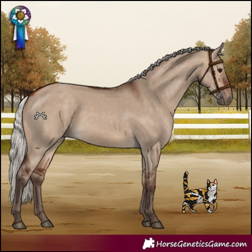 Horse Color:Silver Bay Dun