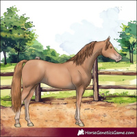 Horse Color:Gold Champagne