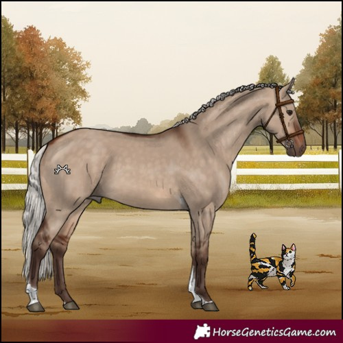 Horse Color:Silver Brown Dun Tobiano Rabicano 