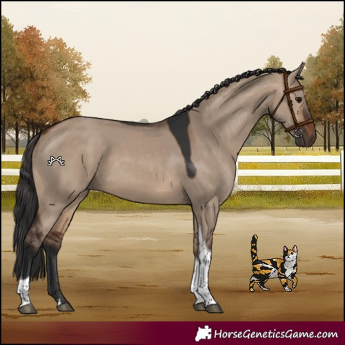 Horse Color:Brown Dun Tobiano