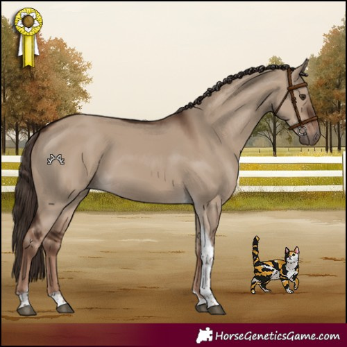 Horse Color:Liver Red Dun Tobiano
