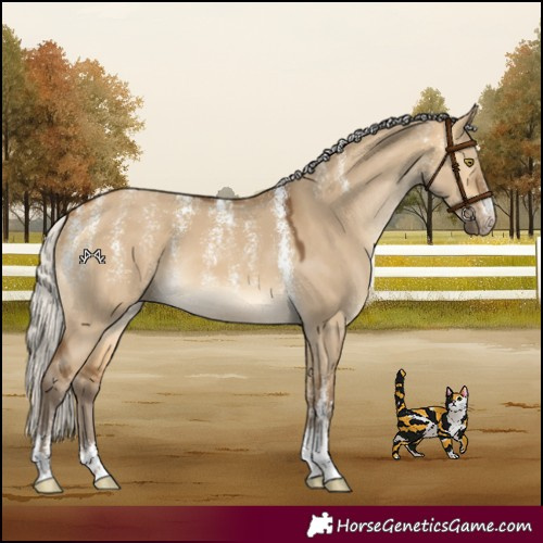 Horse Color:Powder White Silver Buckskin Dun