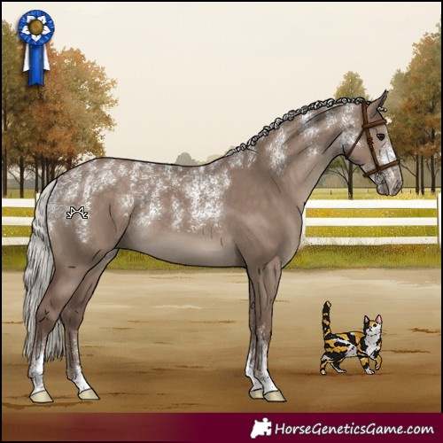 Horse Color:Powder White Silver Grullo 
