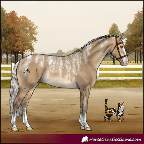 Horse Color:Powder White Silver Buckskin Dun 