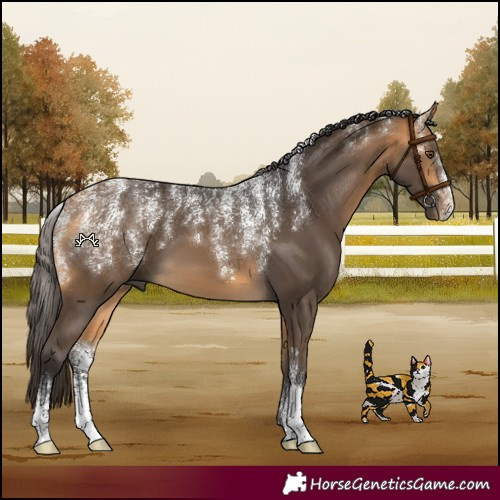 Horse Color:Powder White Buckskin