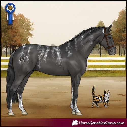 Horse Color:Powder White Black 