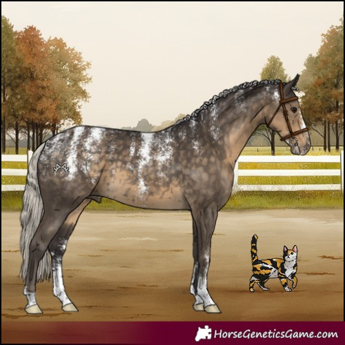Horse Color:Powder White Silver Smoky Black