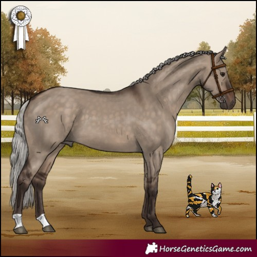 Horse Color:Silver Brown Dun 