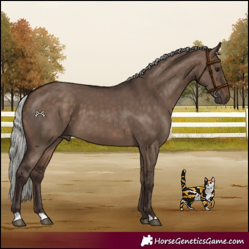 Horse Color:Silver Brown Dun 