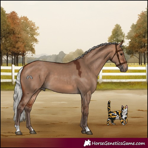 Horse Color:Silver Bay Dun 