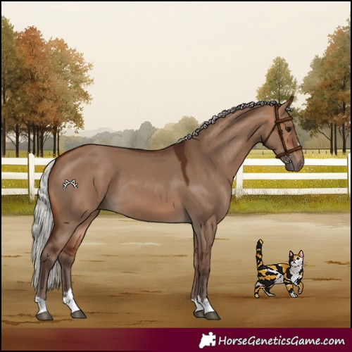 Horse Color:Silver Bay Dun 