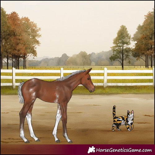 Horse Color:White Spotted Silver Brown 