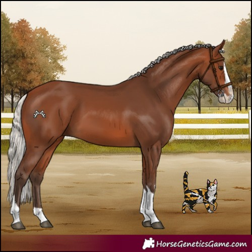 Horse Color:Silver Brown Splash Tobiano 