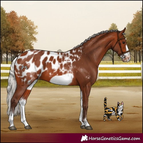 Horse Color:White Spotted Silver Brown Frame Blanket