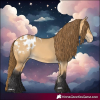 Horse Color:Buckskin Dun Blanket