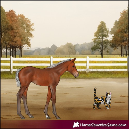 Horse Color:Silver Bay