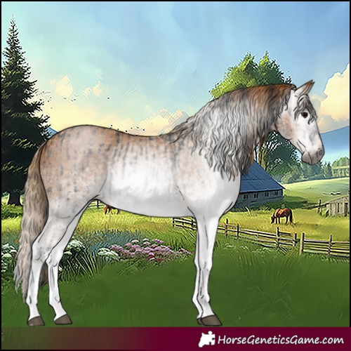 Horse Color:Gray White Spotted Black and Gray White Spotted Chestnut