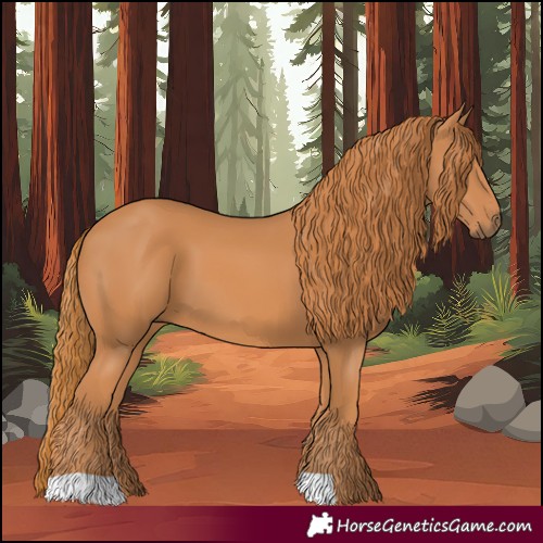 Horse Color:Chestnut 