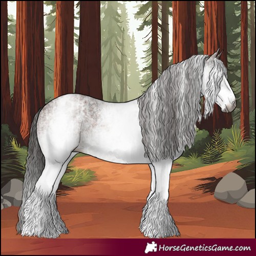 Horse Color:Gray White Spotted Black  and Gray White Spotted Bay 