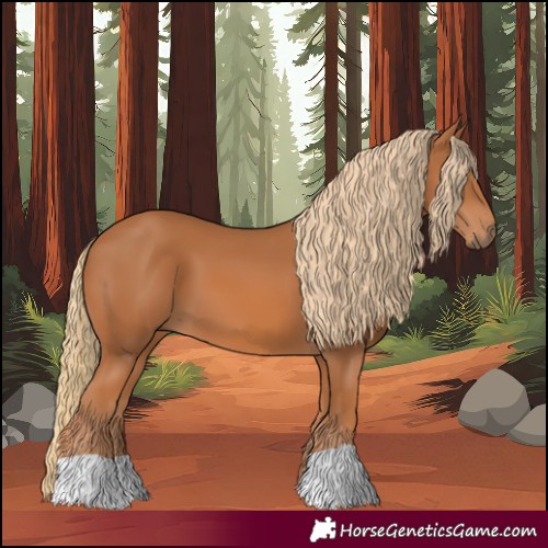 Horse Color:Chestnut 