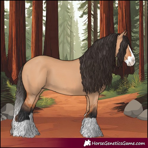 Horse Color:Bay Dun Splash 