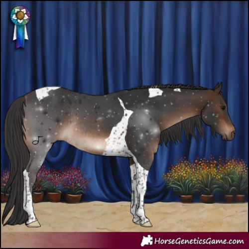 Horse Color:Brown Tobiano Rabicano 