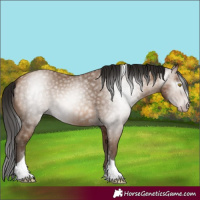 Horse Color:Gray Amber Champagne Tobiano 