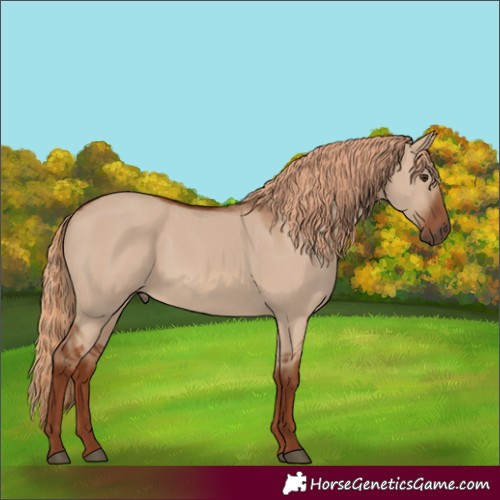 Horse Color:Red Dun