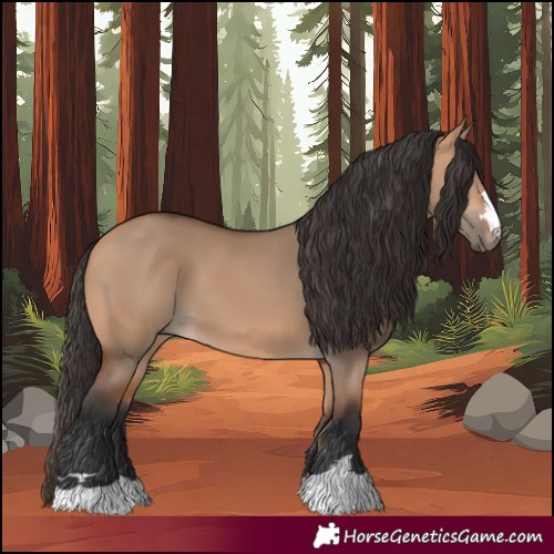 Horse Color:Bay Dun 