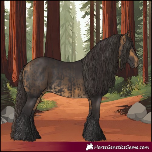 Horse Color:Smoky Black  and Buckskin 