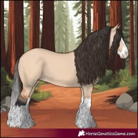 Horse Color:Bay Dun Splash 
