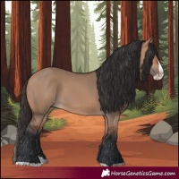Horse Color:Bay Dun Splash 