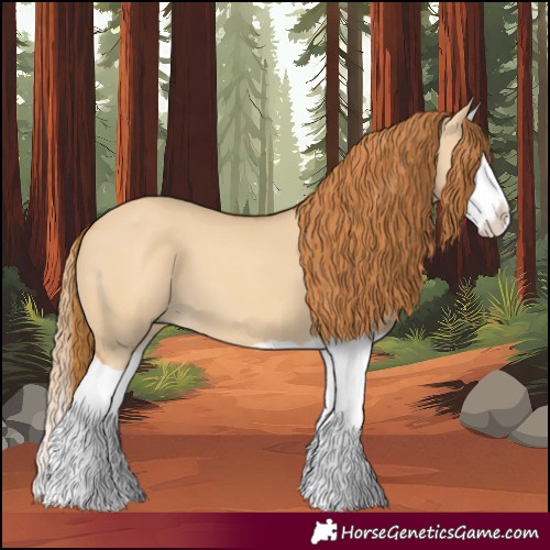 Horse Color:Red Dun Splash