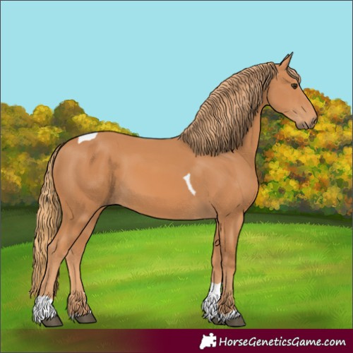 Horse Color:Chestnut Tobiano 