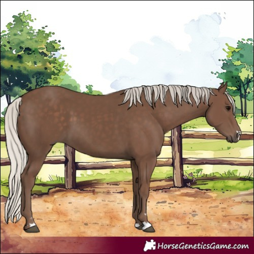 Horse Color:Silver Black 
