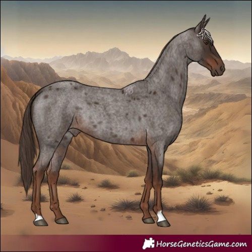 Horse Color:Liver Red Roan Rabicano