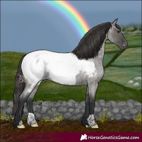 Horse Color:Grullo Roan Near Fewspot