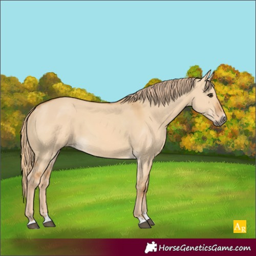 Horse Color:Unknown 