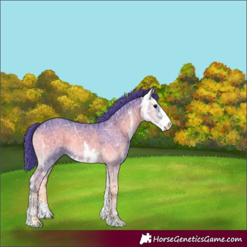 Horse Color:Watercolor Smoky Blue Onyx Ice Sabino