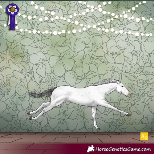 Horse Color:Brown Sabino Blanket Rabicano 