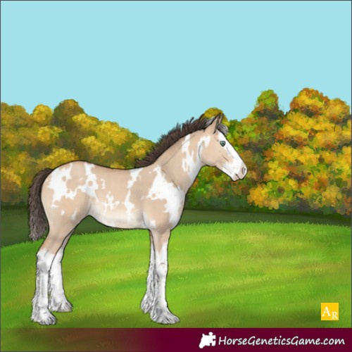 Horse Color:White Spotted Amber Champagne Dun Splash 