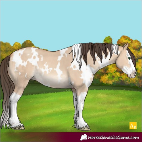 Horse Color:White Spotted Amber Champagne Dun Splash