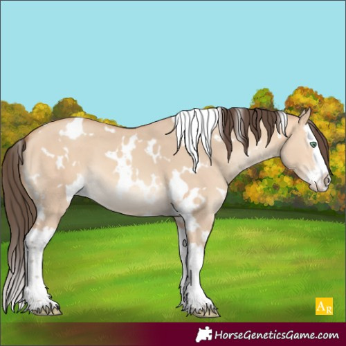 Horse Color:White Spotted Amber Champagne Dun Splash