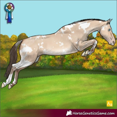 Horse Color:White Spotted Amber Champagne Dun