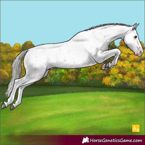 Horse Color:Silver Brown Sabino Appaloosa Rabicano 