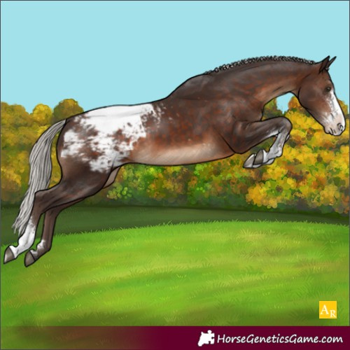 Horse Color:Silver Brown Sabino Snowcap 