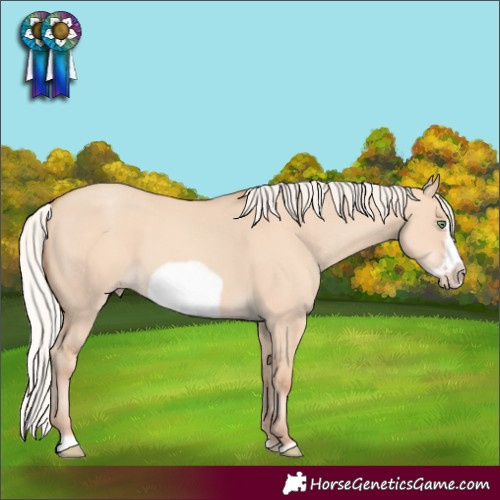 Horse Color:Silver Amber Champagne Dun Sabino Frame