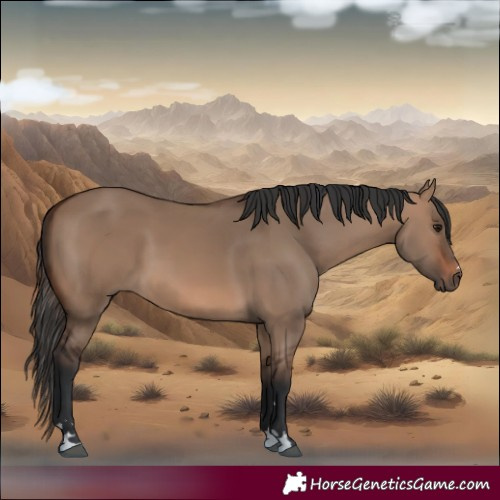 Horse Color:Brown Dun