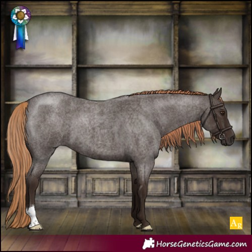 Horse Color:Liver Red Roan