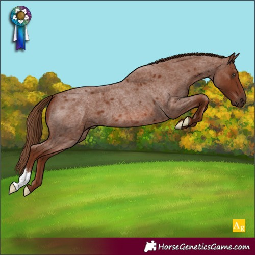 Horse Color:Red Roan 
